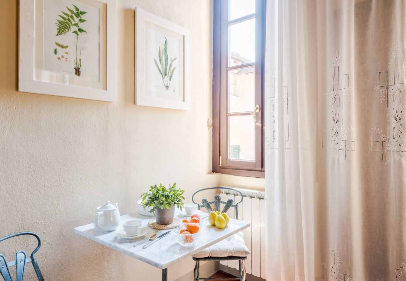Apartment in Lucca - Antico Sogno Penthouse