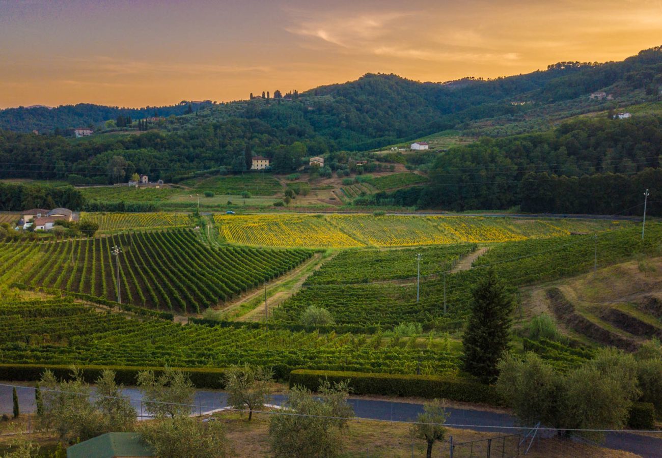 Villa in Lucca - Valle del Sole Winery Farmhouse
