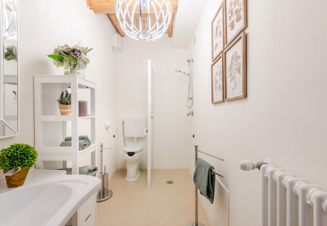 Villa in Lucca - Valle del Sole Winery Farmhouse