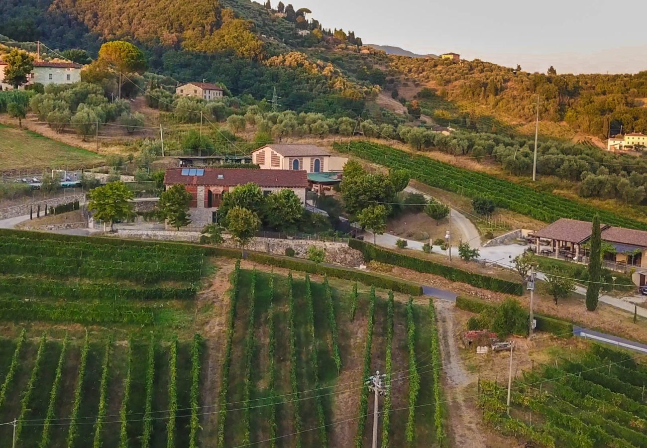 Villa in Lucca - Valle del Sole Winery Farmhouse