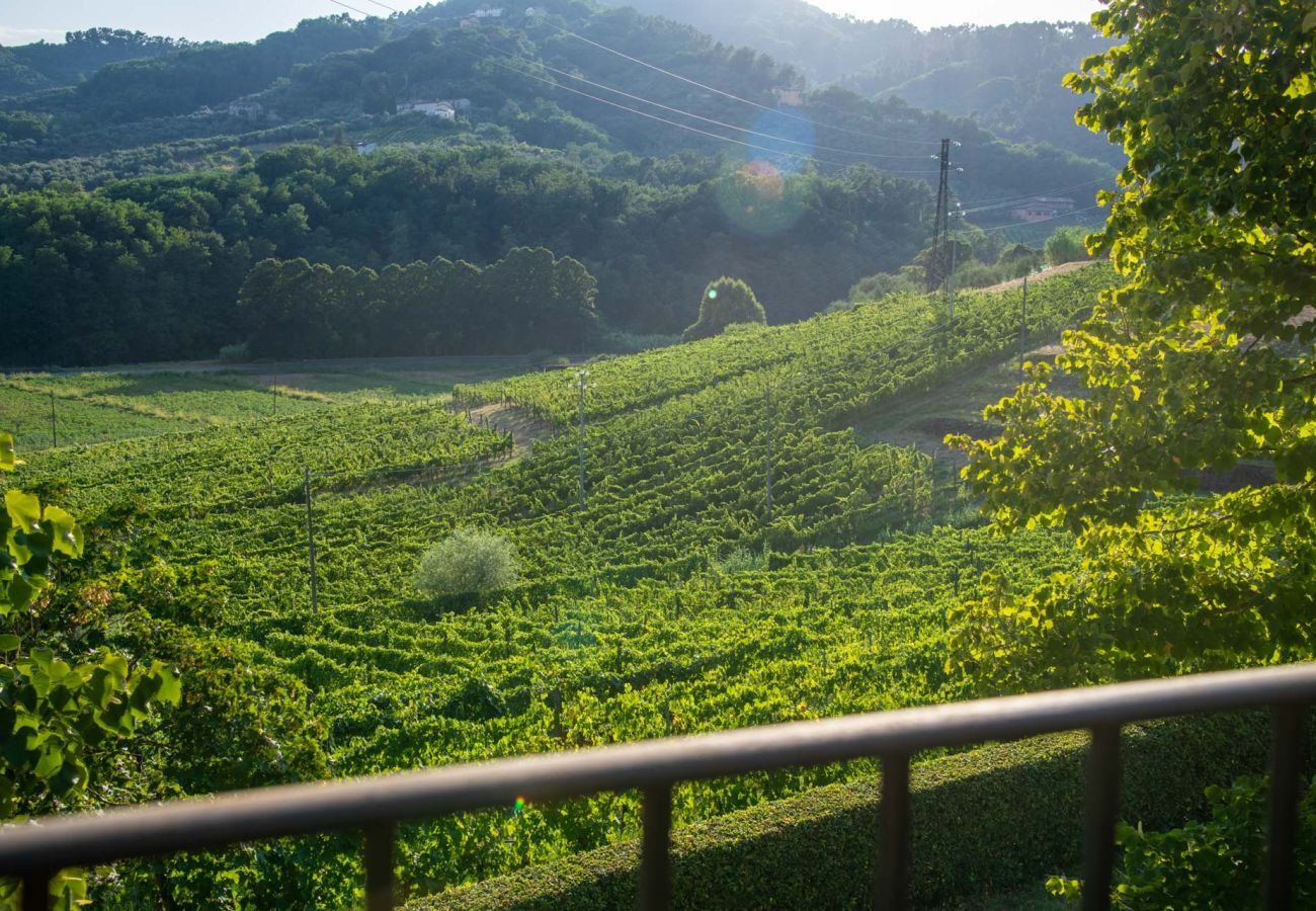 Villa in Lucca - Valle del Sole Winery Farmhouse