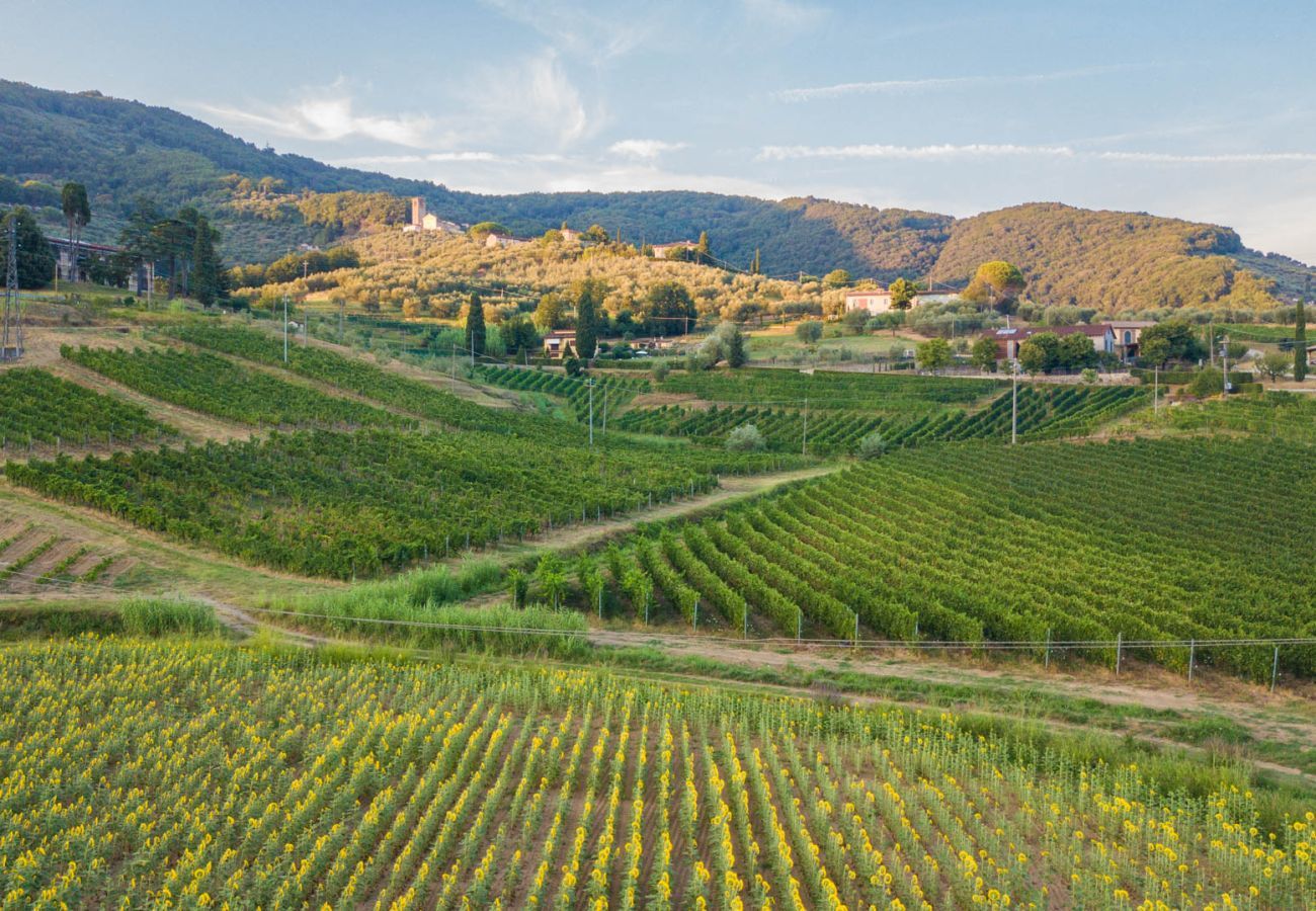 Villa in Lucca - Valle del Sole Winery Farmhouse