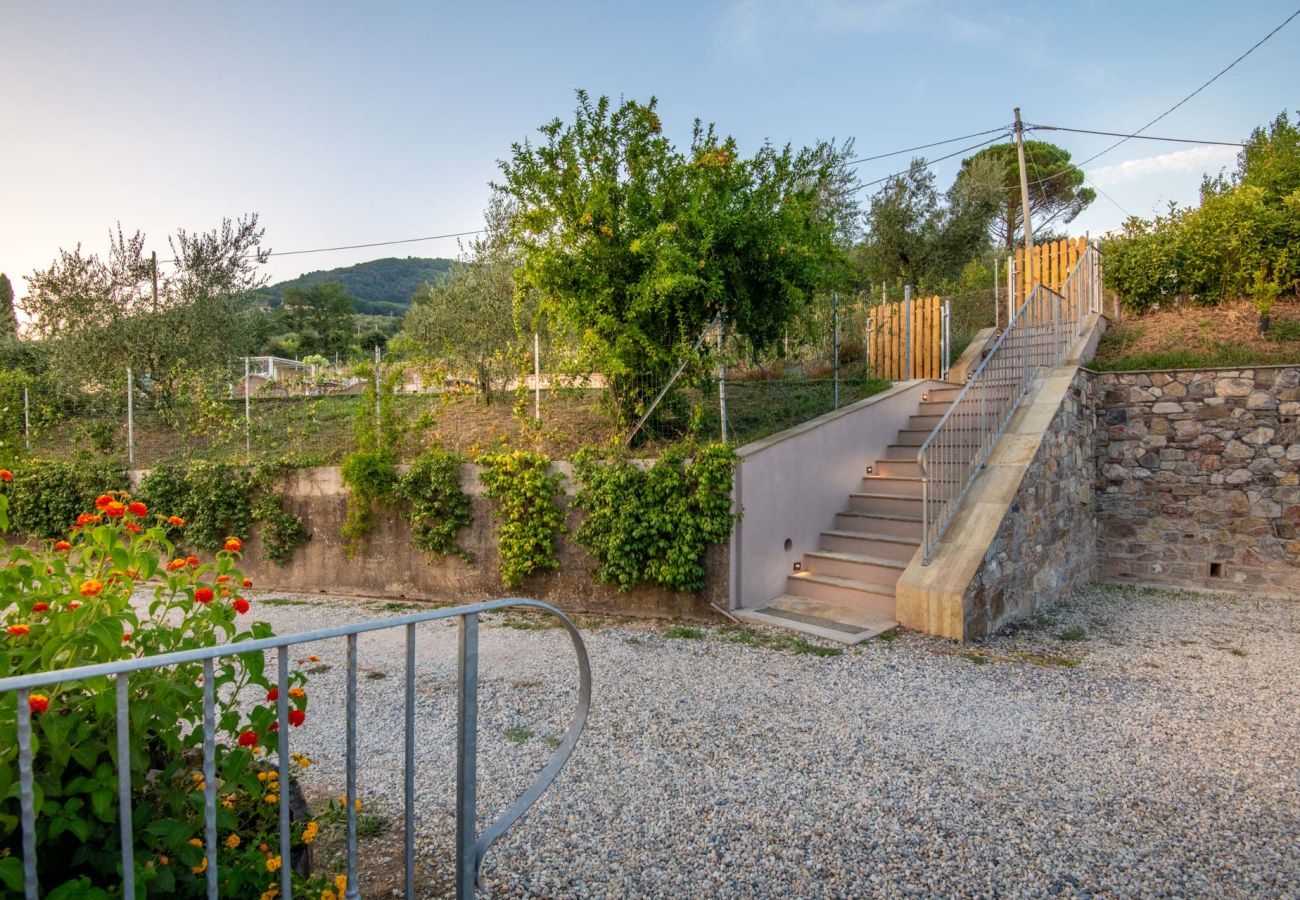 Villa in Lucca - Valle del Sole Winery Farmhouse