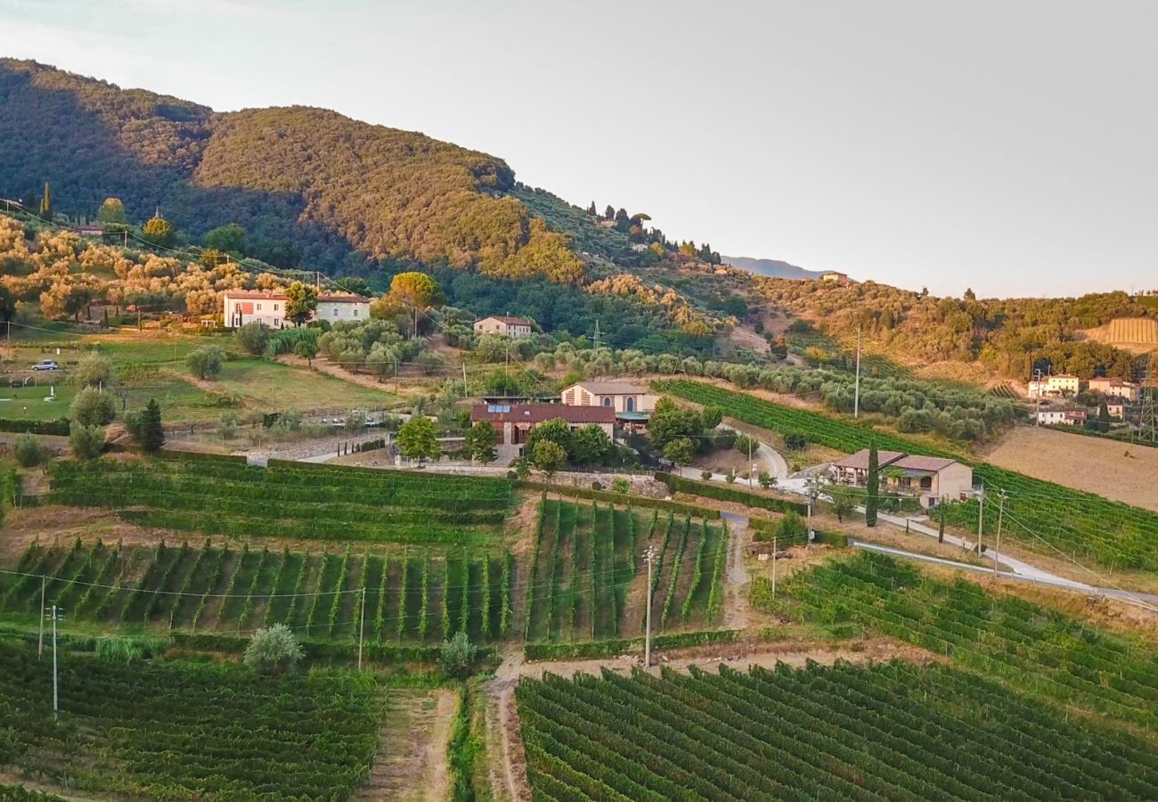 Villa in Lucca - Valle del Sole Winery Farmhouse