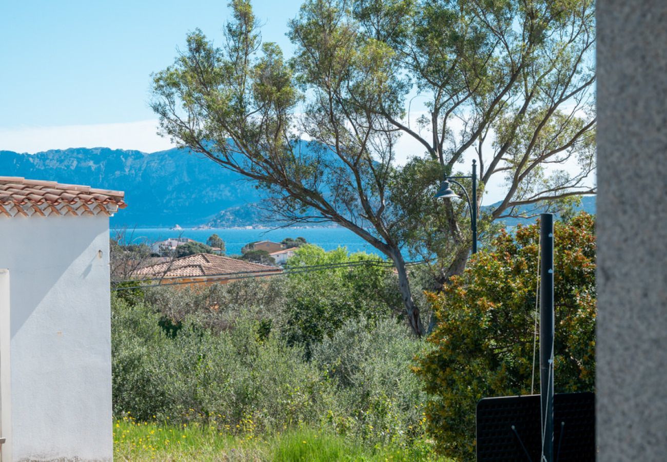 Chalet in Olbia - Villa Kora 7