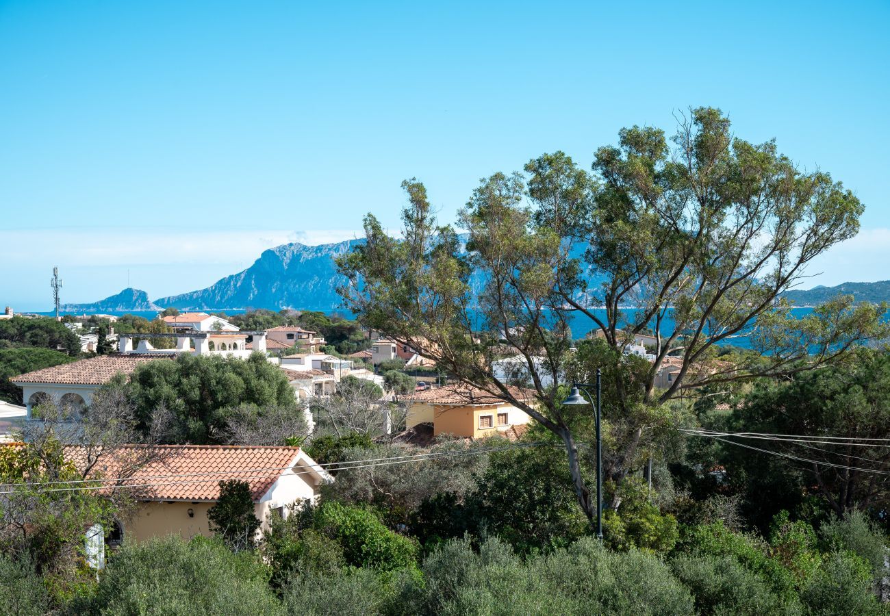 Chalet in Olbia - Villa Kora 4