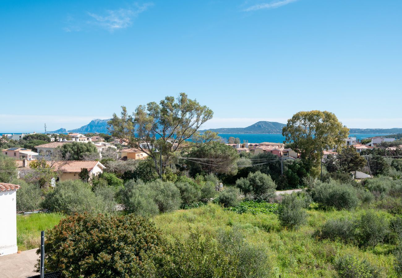 Chalet in Olbia - Villa Kora 4