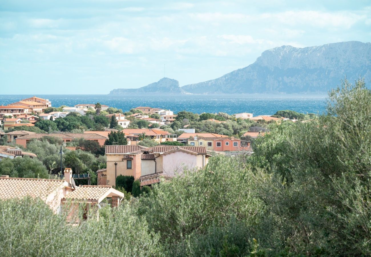 Apartment in Olbia - Sea Shell 66