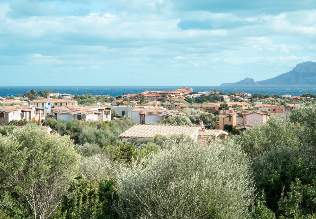 Apartment in Olbia - Sea Shell 66