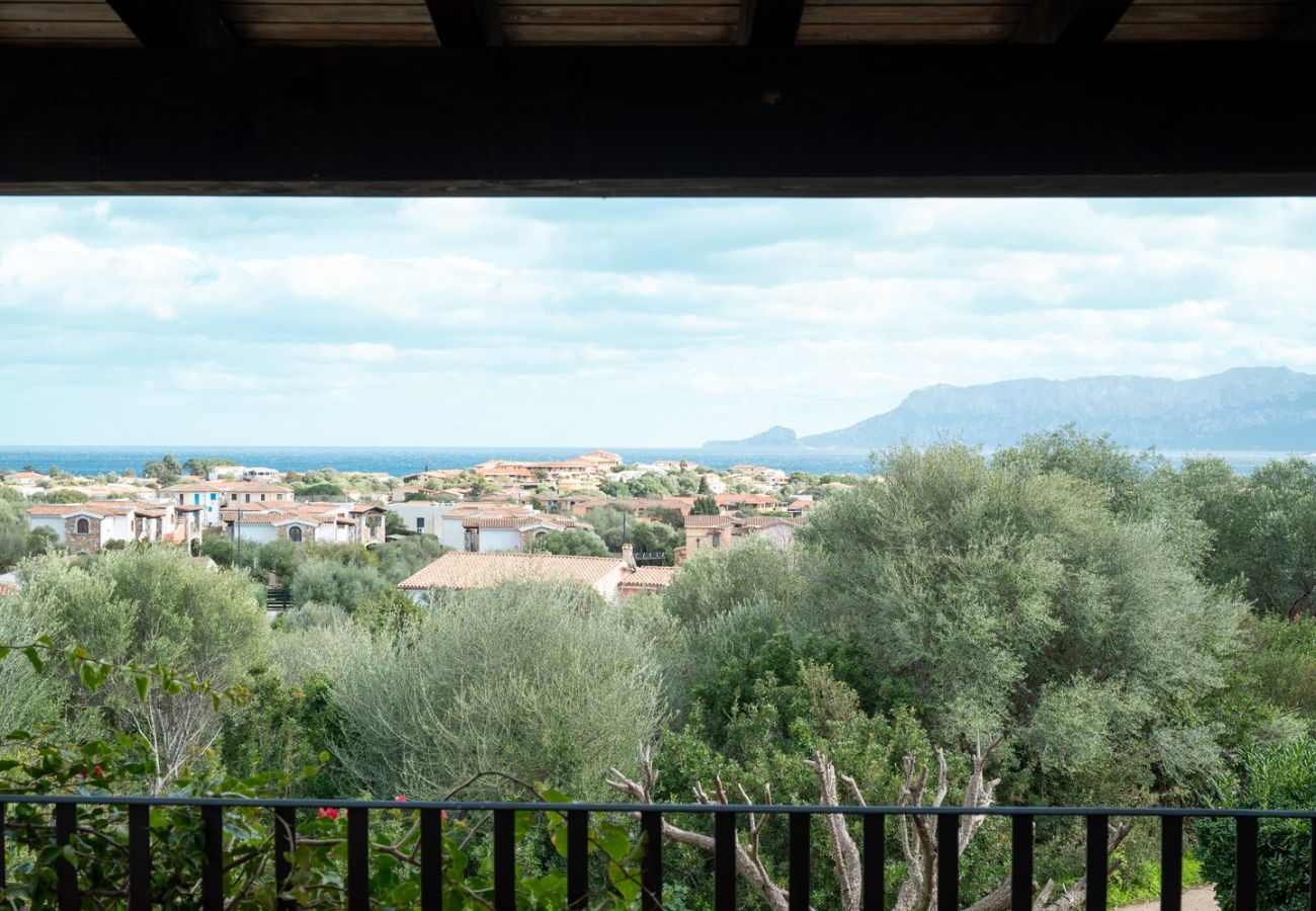 Apartment in Olbia - Sea Shell 66