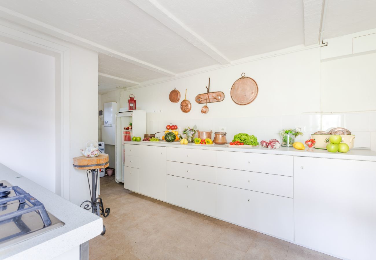 Villa in Massarosa - The Sea Air Villa