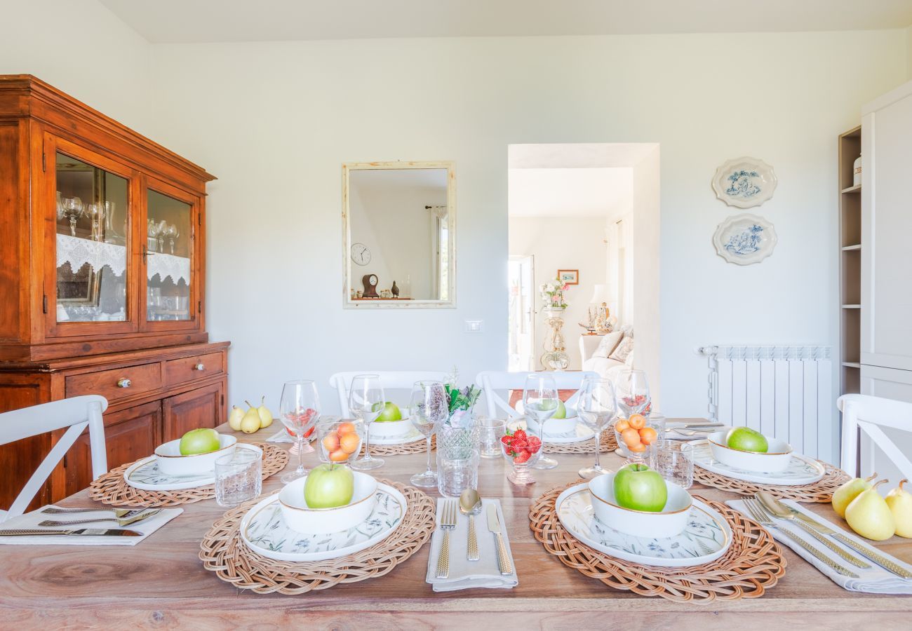 Villa in Massarosa - The Sea Air Villa