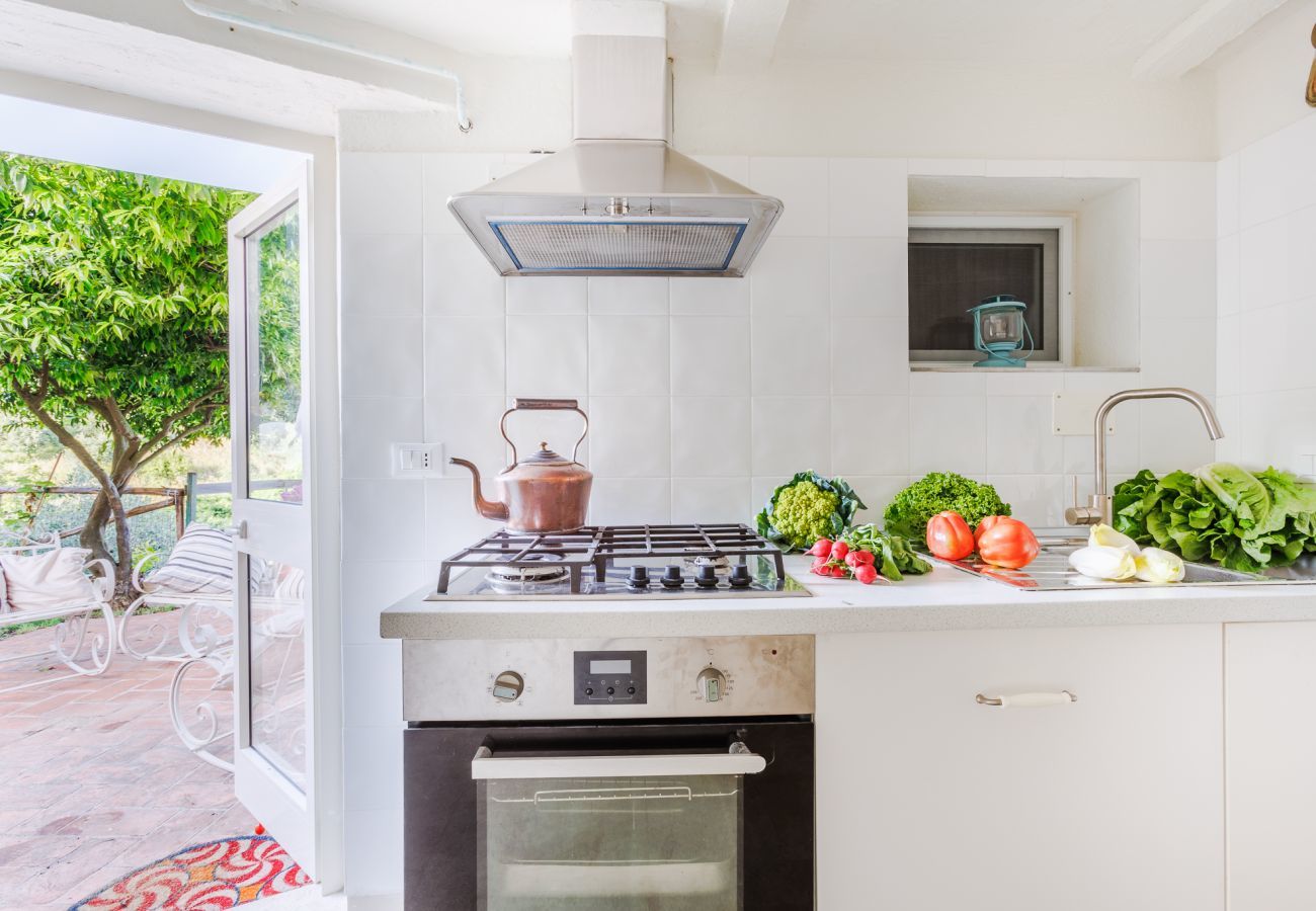 Villa in Massarosa - The Sea Air Villa