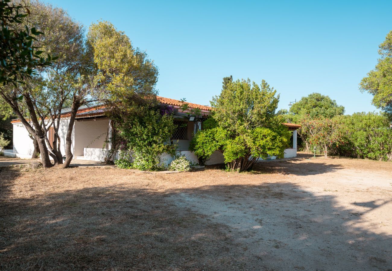 Chalet in Olbia - Villa Olivastro