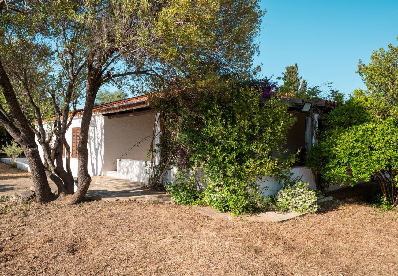Chalet in Olbia - Villa Olivastro