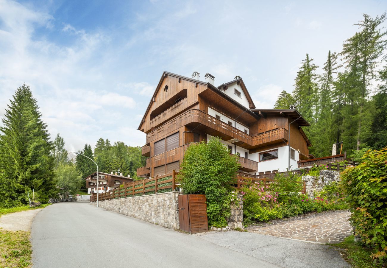 Apartment in Cortina d´Ampezzo - Tablà del Bosco R & R
