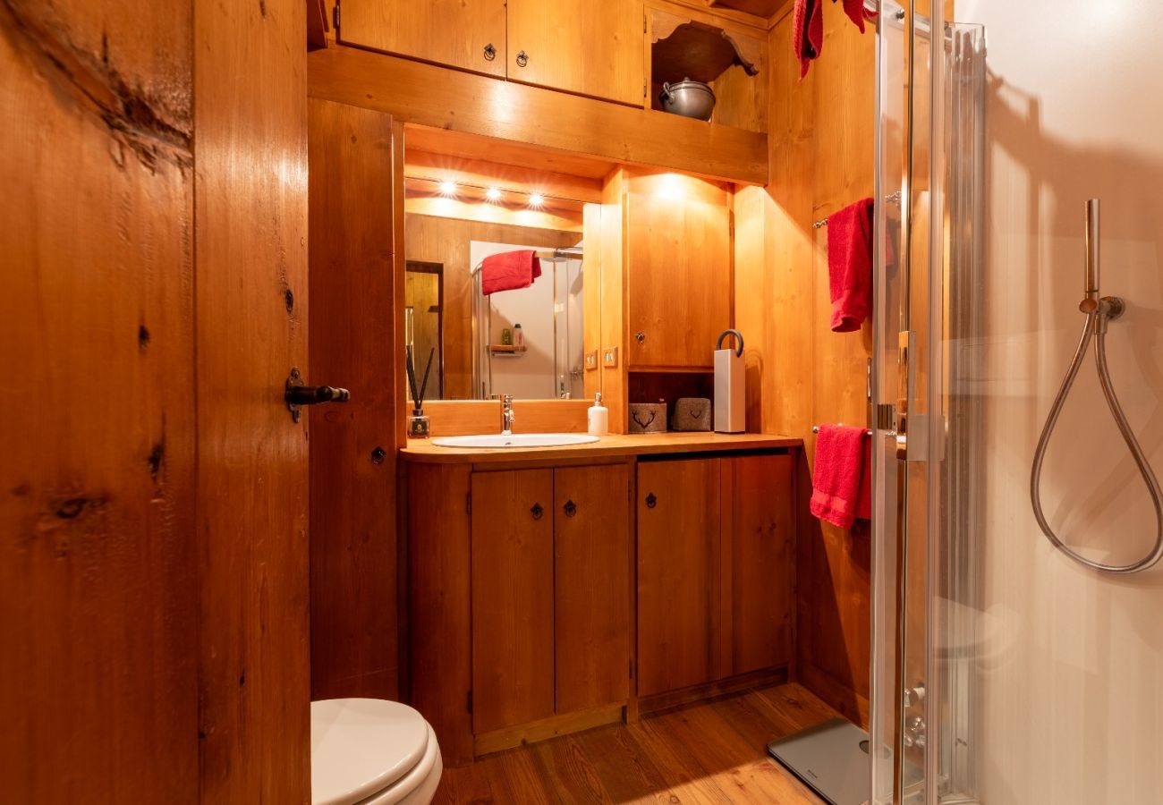 Apartment in Cortina d´Ampezzo - Tofane View Apartment with Terrace R&R