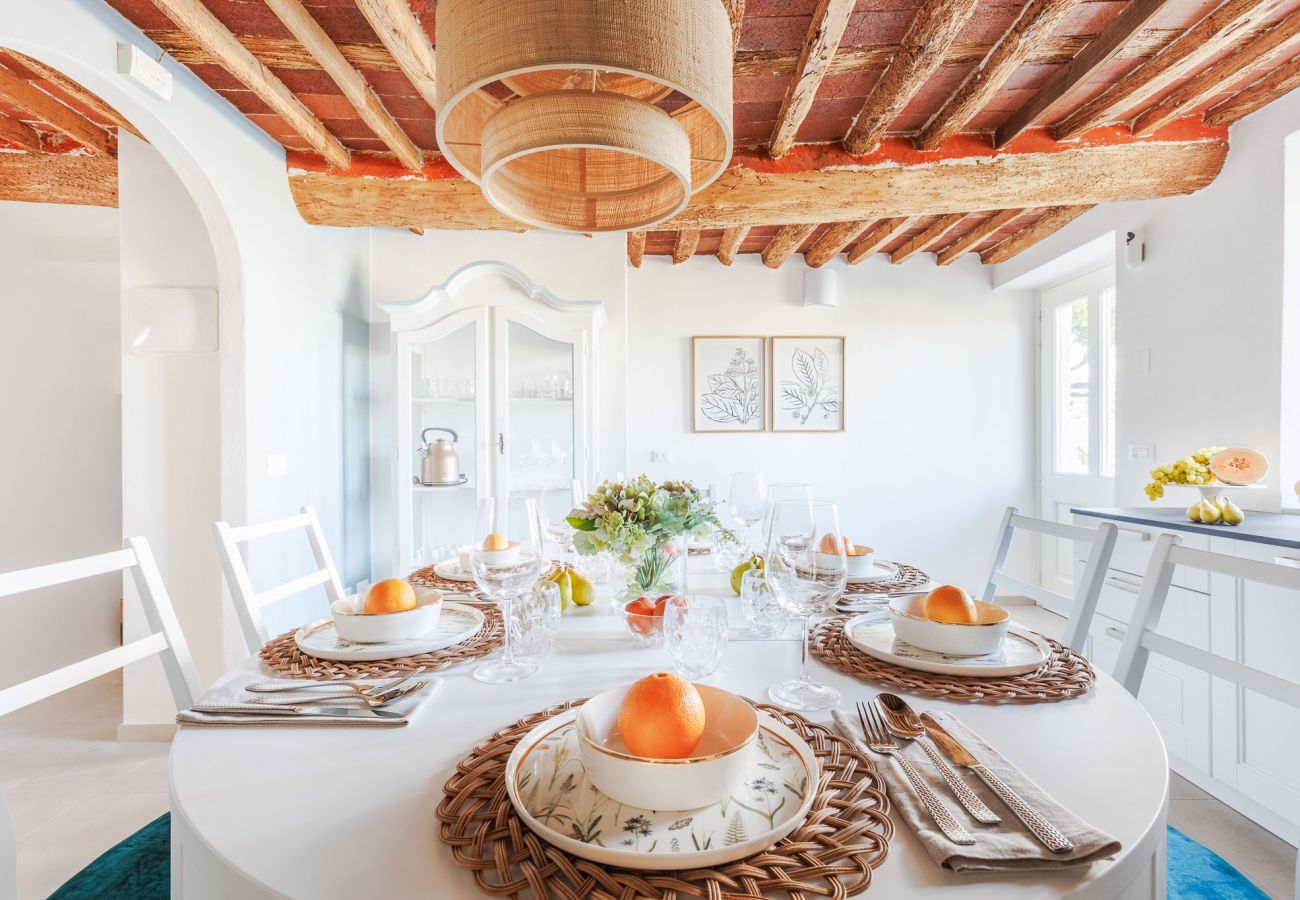 Villa in Lucca - Villa Podere Falcione