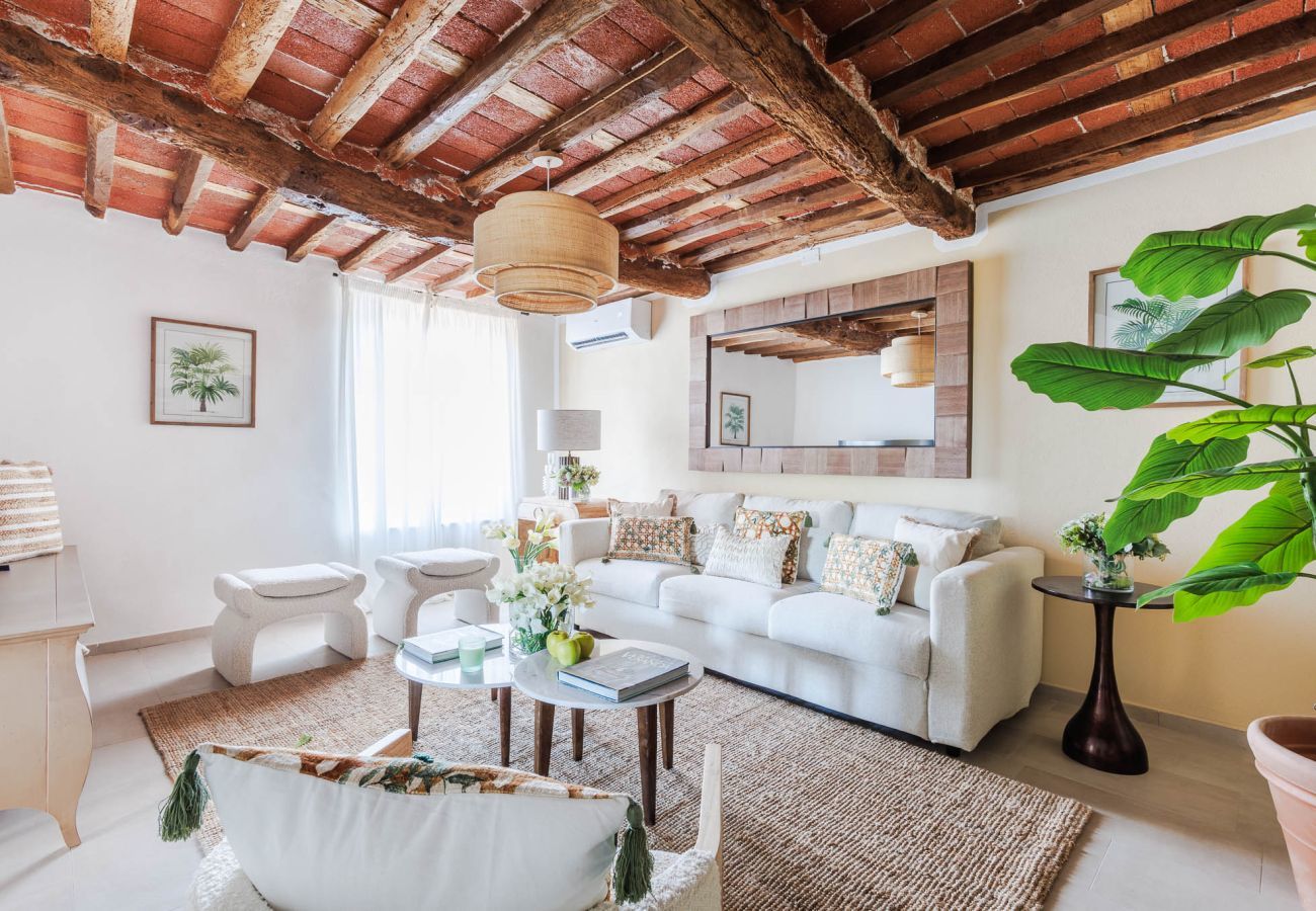 Villa in Lucca - Villa Podere Falcione