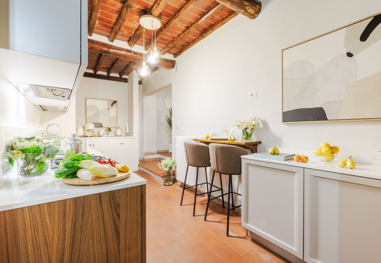 Apartment in Lucca - The Hidden Alley Apartment
