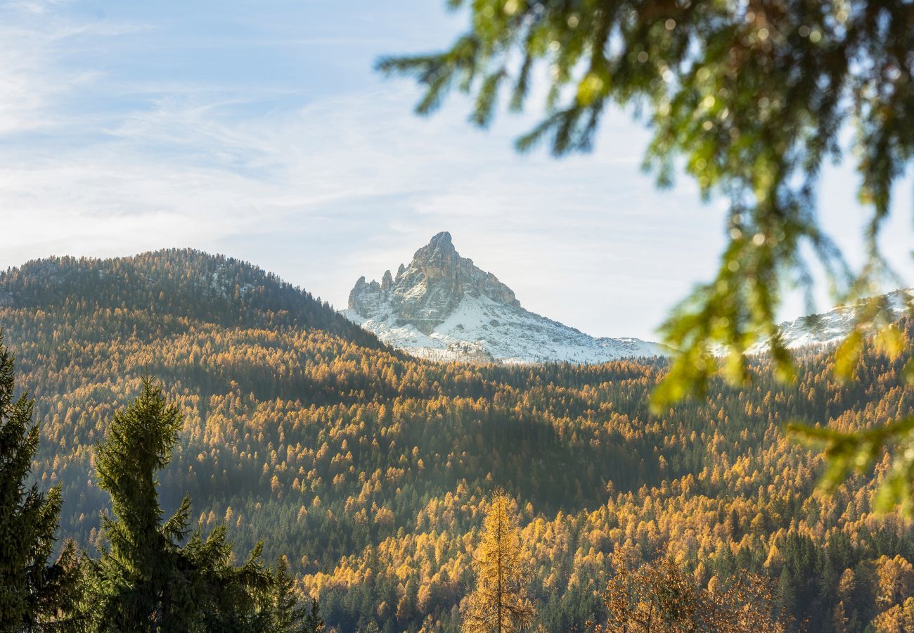 Apartment in Cortina d´Ampezzo - Angiolina Charming Apartment R&R