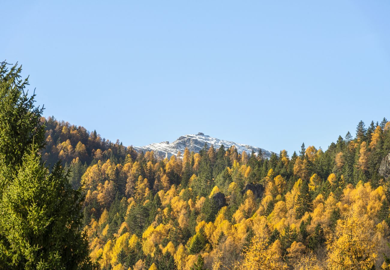 Apartment in Cortina d´Ampezzo - Angiolina Charming Apartment R&R