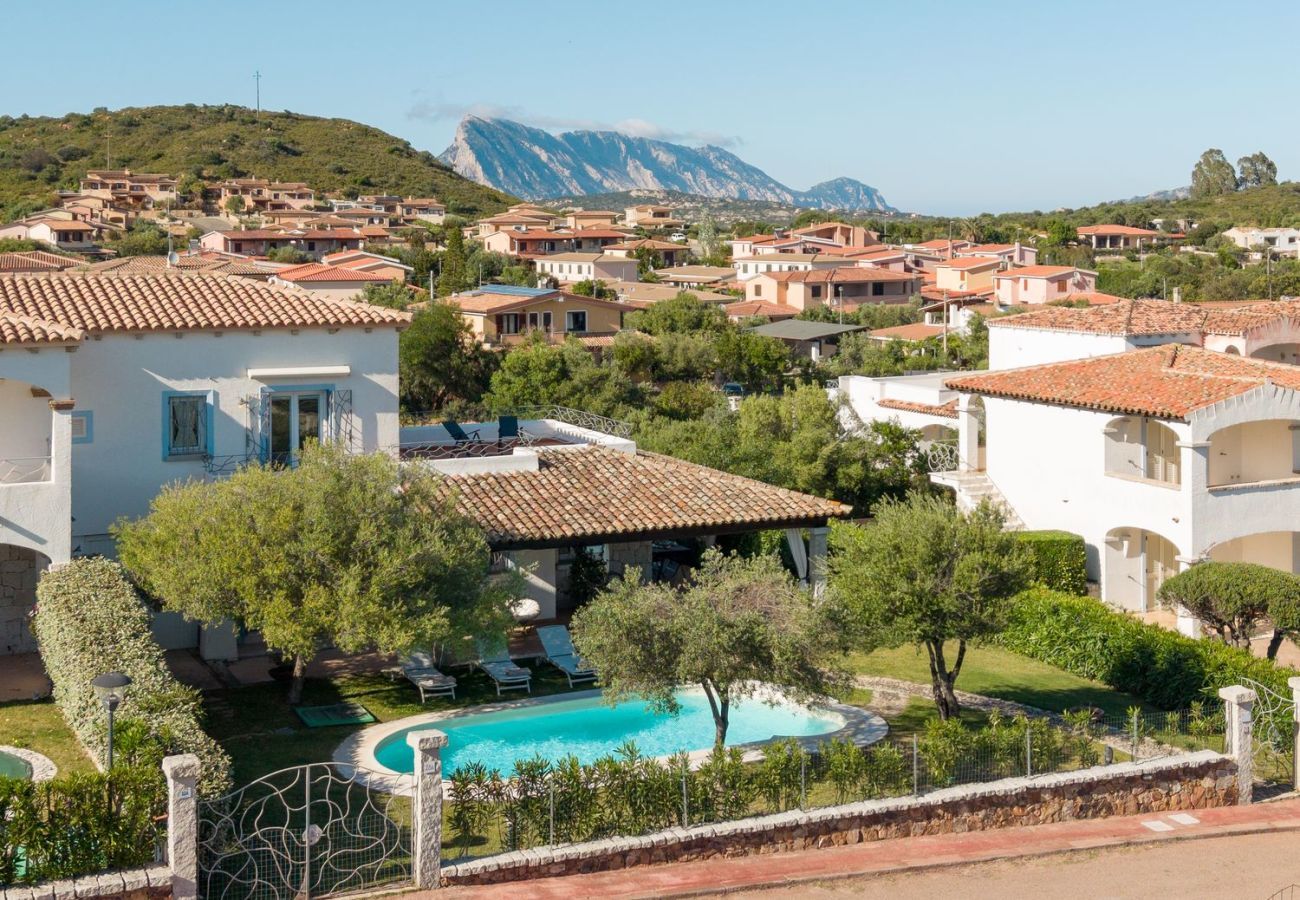 Villa in San Teodoro - Villa Luciva