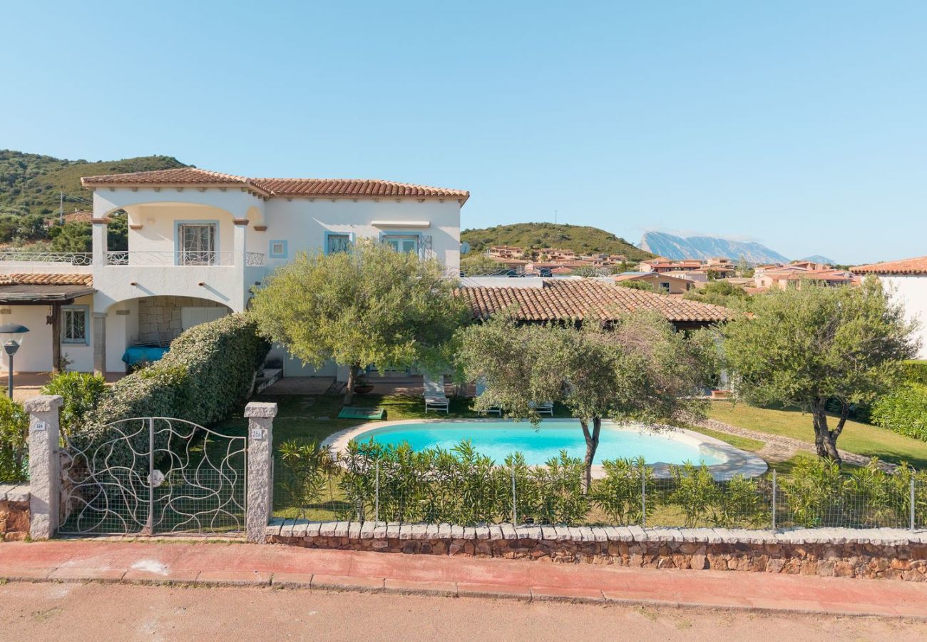Villa in San Teodoro - Villa Luciva