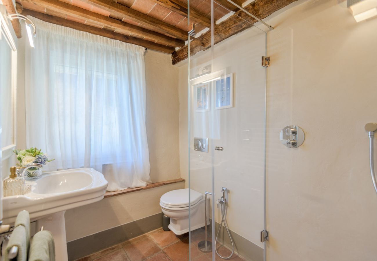Villa in San Lorenzo di Moriano - Uva Cottage Farmhouse