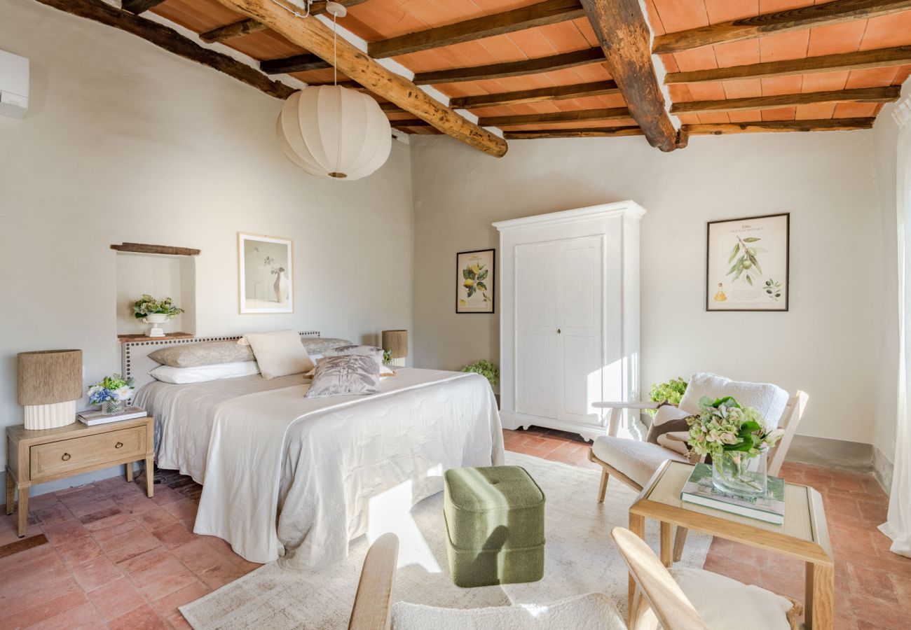 Villa in San Lorenzo di Moriano - Uva Cottage Farmhouse