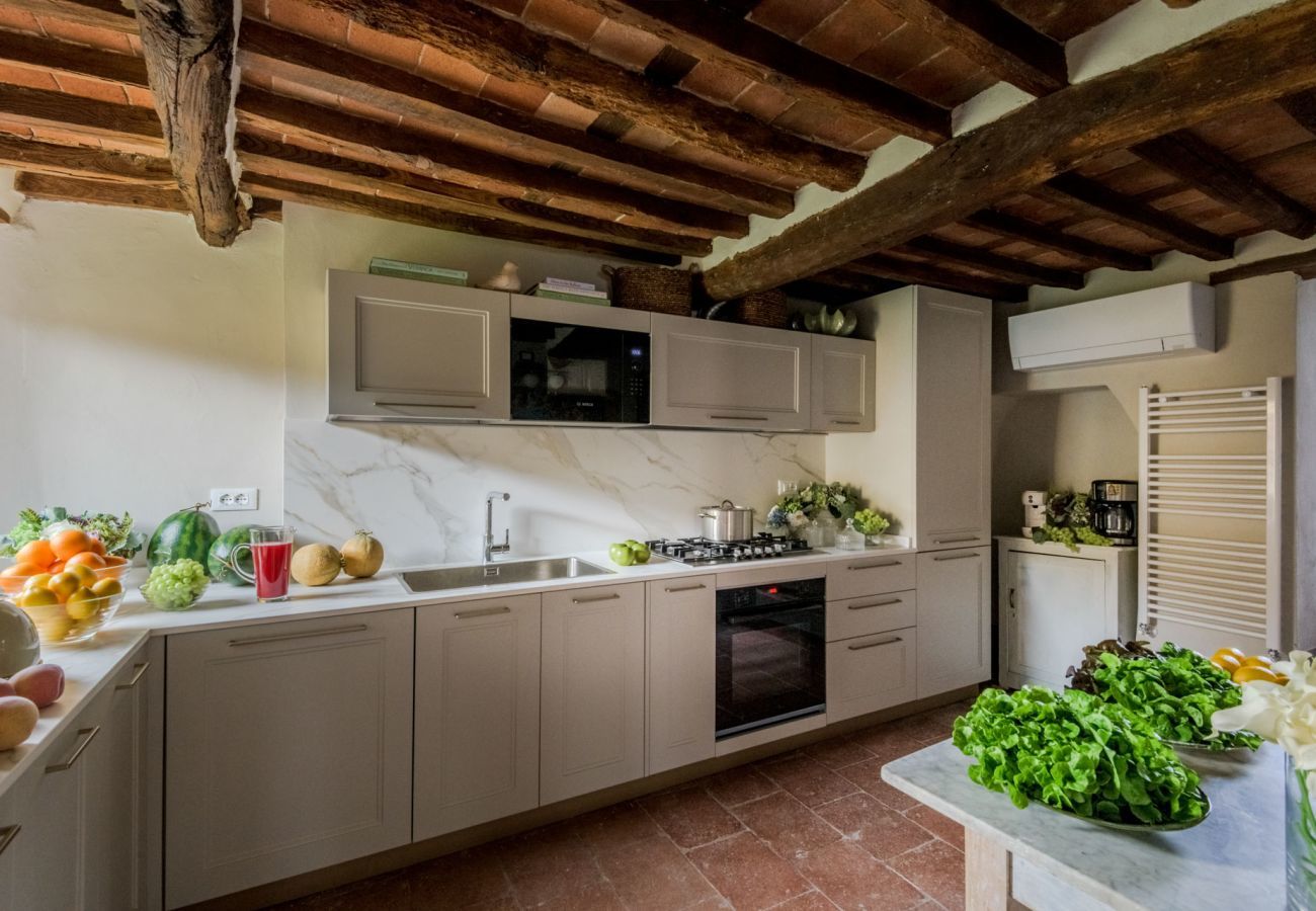 Villa in San Lorenzo di Moriano - Uva Cottage Farmhouse