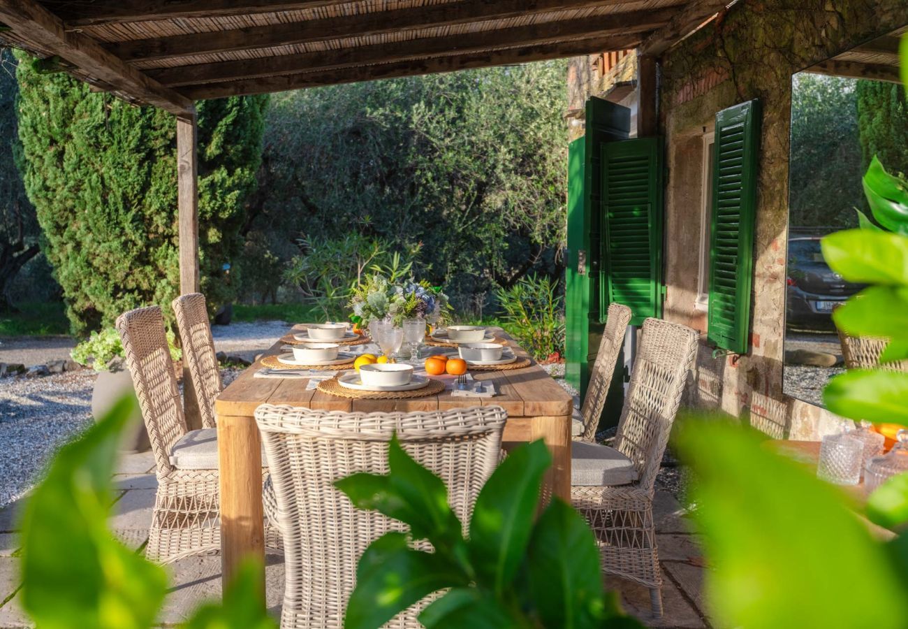 Villa in San Lorenzo di Moriano - Uva Cottage Farmhouse