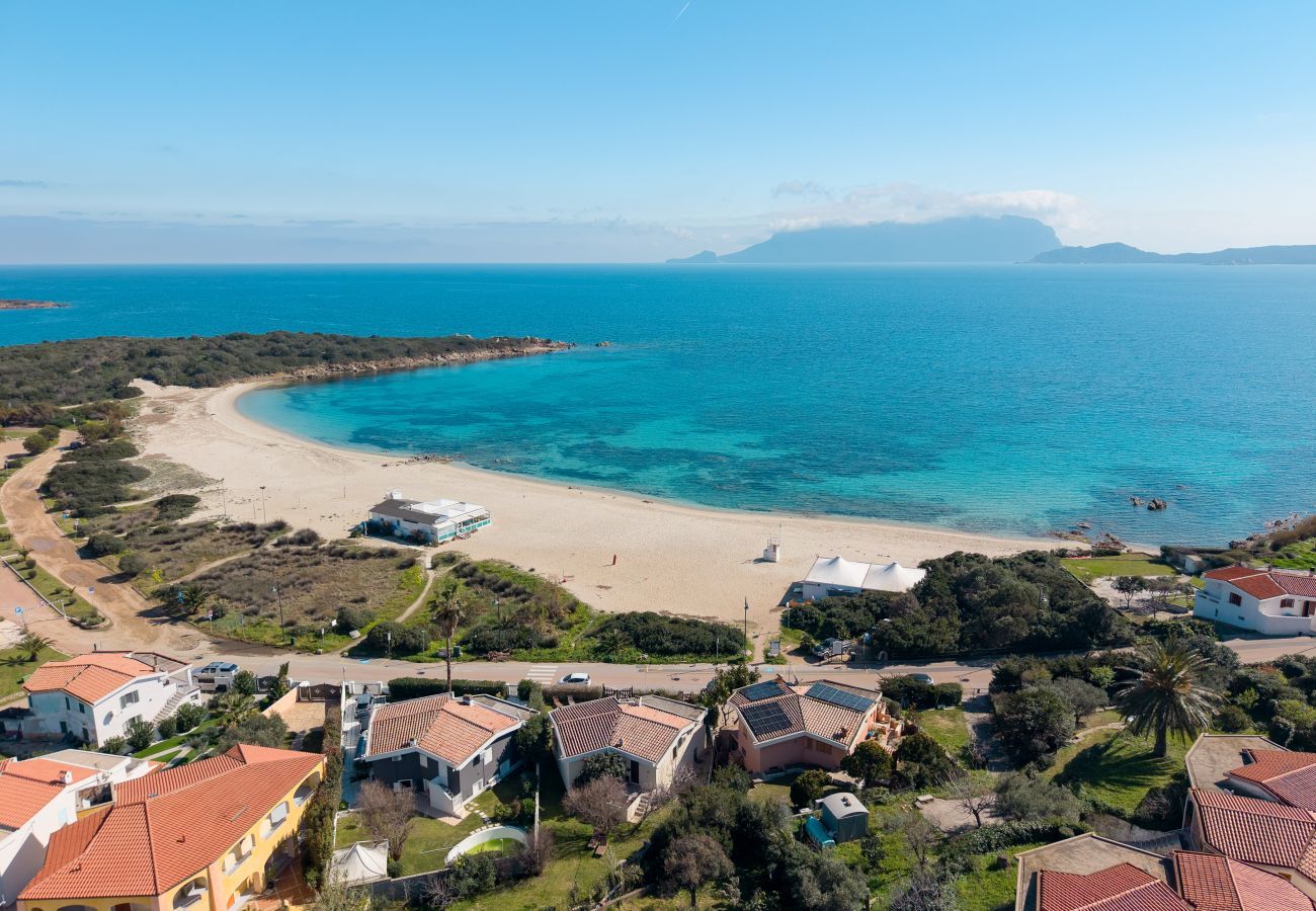 Apartment in Olbia - Arvella Stay II