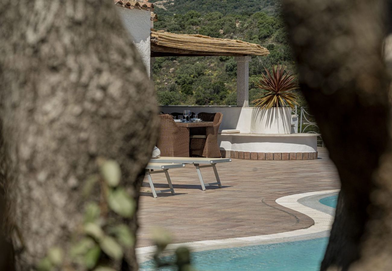 Villa in San Pantaleo - Villa Junia