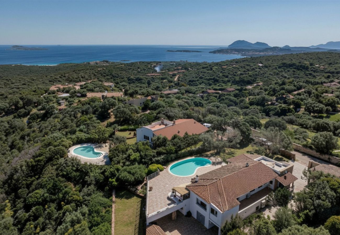 Villa in San Pantaleo - Villa Junia