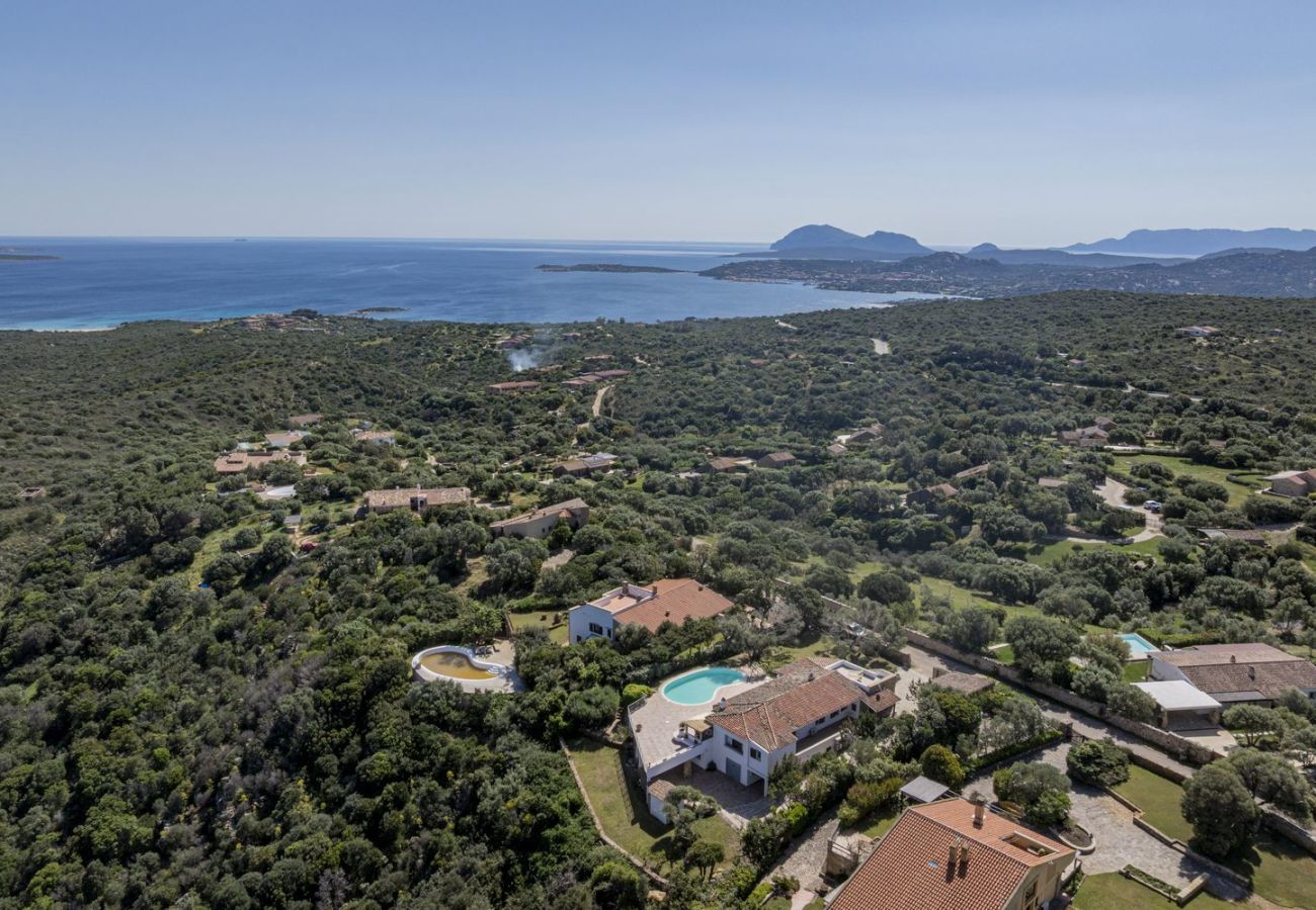 Villa in San Pantaleo - Villa Junia