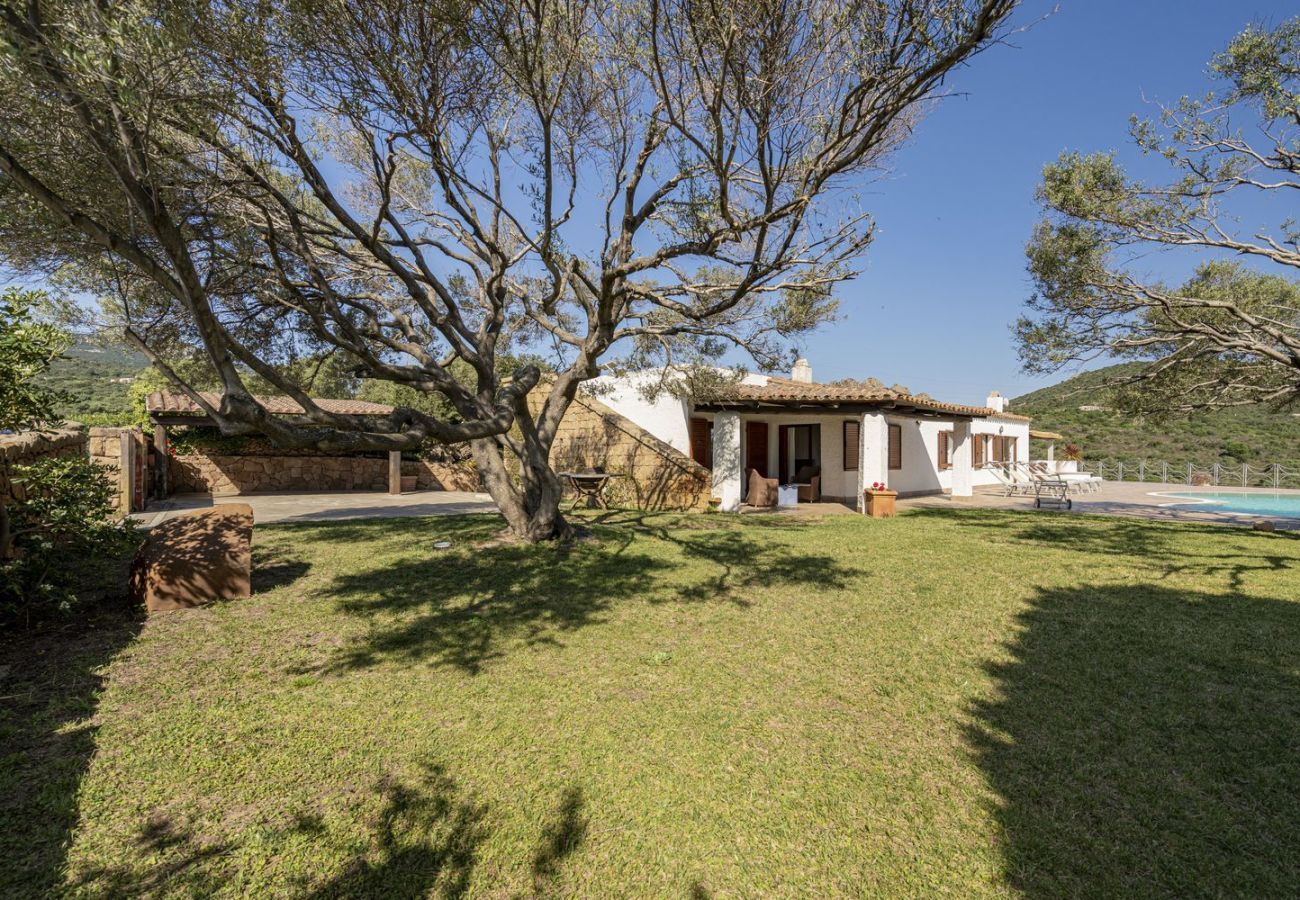 Villa in San Pantaleo - Villa Junia