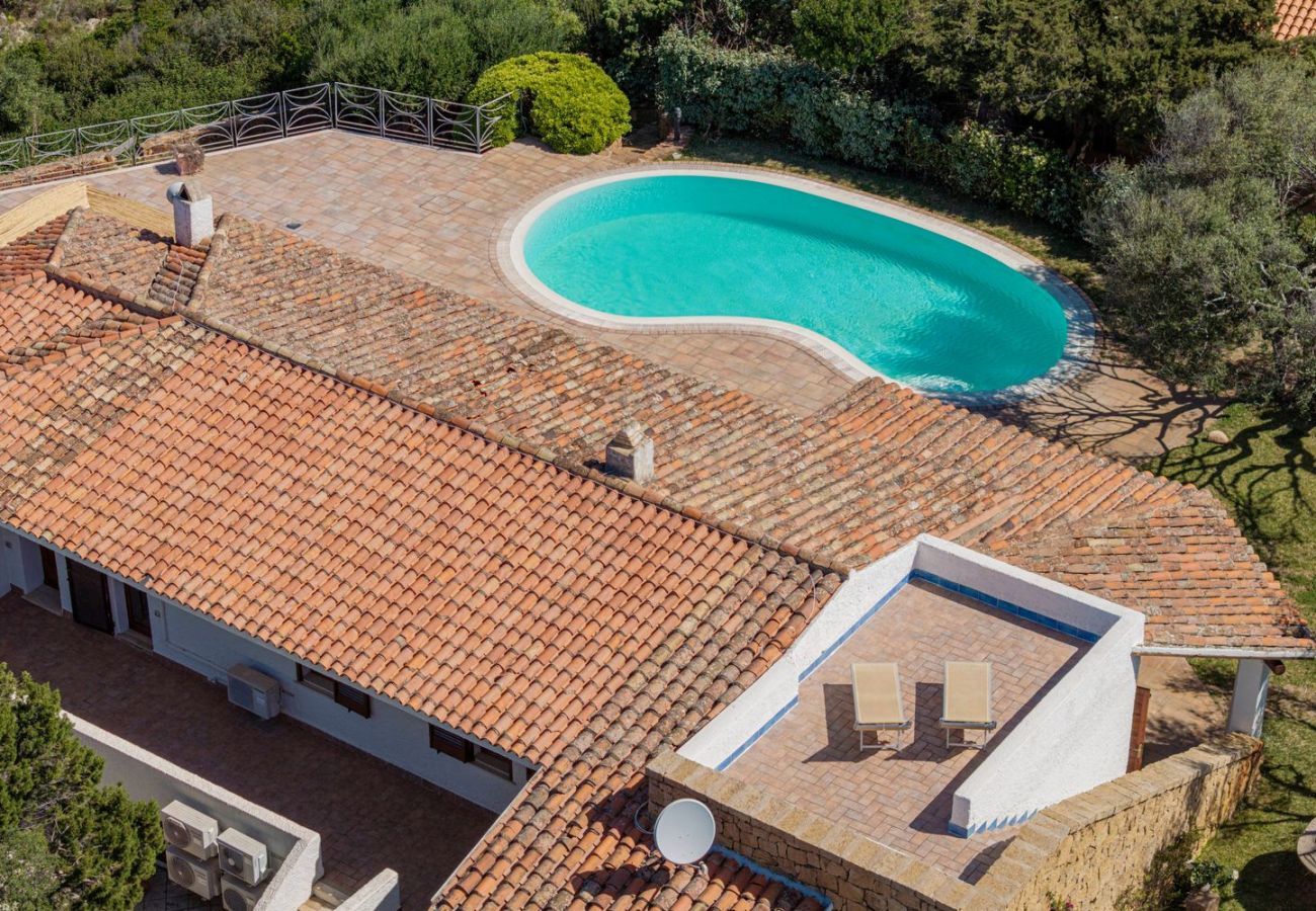 Villa in San Pantaleo - Villa Junia