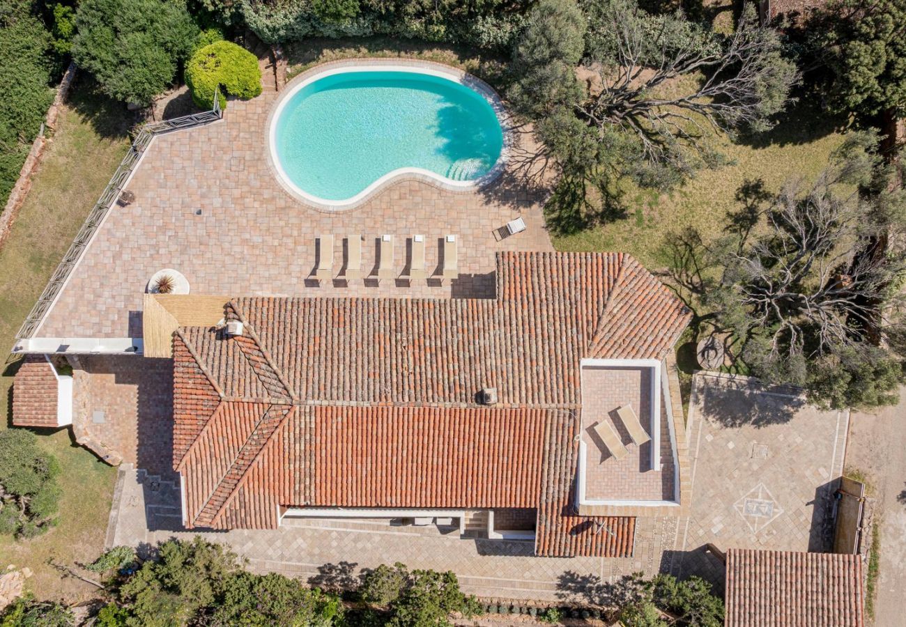 Villa in San Pantaleo - Villa Junia