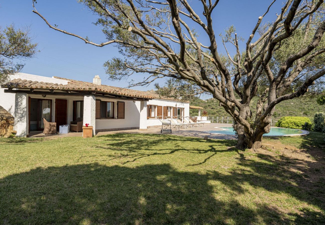 Villa in San Pantaleo - Villa Junia
