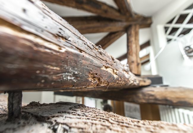 Appartement à Venezia - Design District Apartment R&R Appartement à Venezia - Design District Apartment R&R