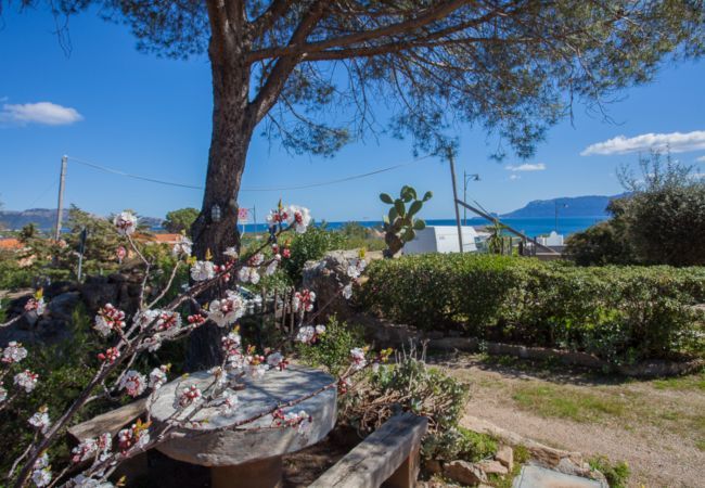 Chalet à Olbia - Villa Bados 6 - 150 mètres de la plage de Bados