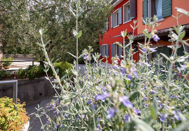 Maison à Bardolino - RUSTICO PETRA Maison à Bardolino - RUSTICO PETRA