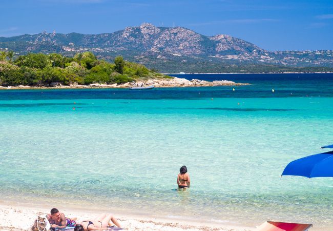 Appartement à Porto Rotondo - Caletta 10 - maison front mer avec piscine, tennis