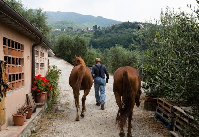 Villa à Lucca - La Macina Farmhouse Villa à Lucca - La Macina Farmhouse