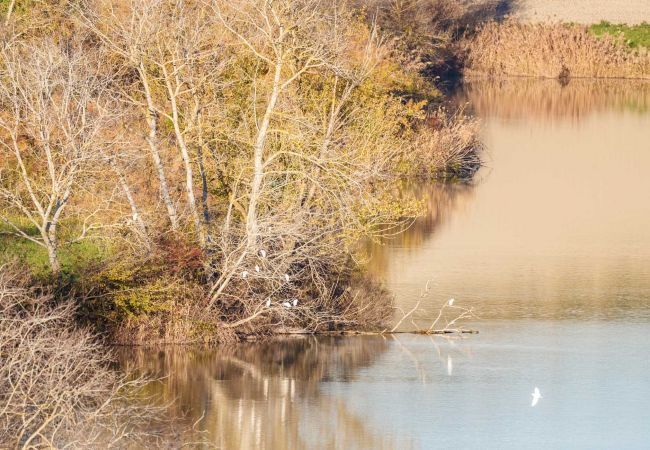 Villa à Fabbrica - Villa Lajatico Villa à Fabbrica - Villa Lajatico