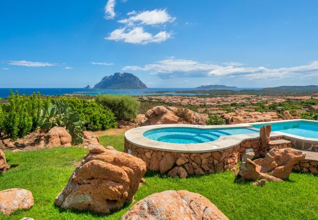 Villa à Porto San Paolo - Villa Halliv - piscine à débordement surplombant la baie de Tavolara