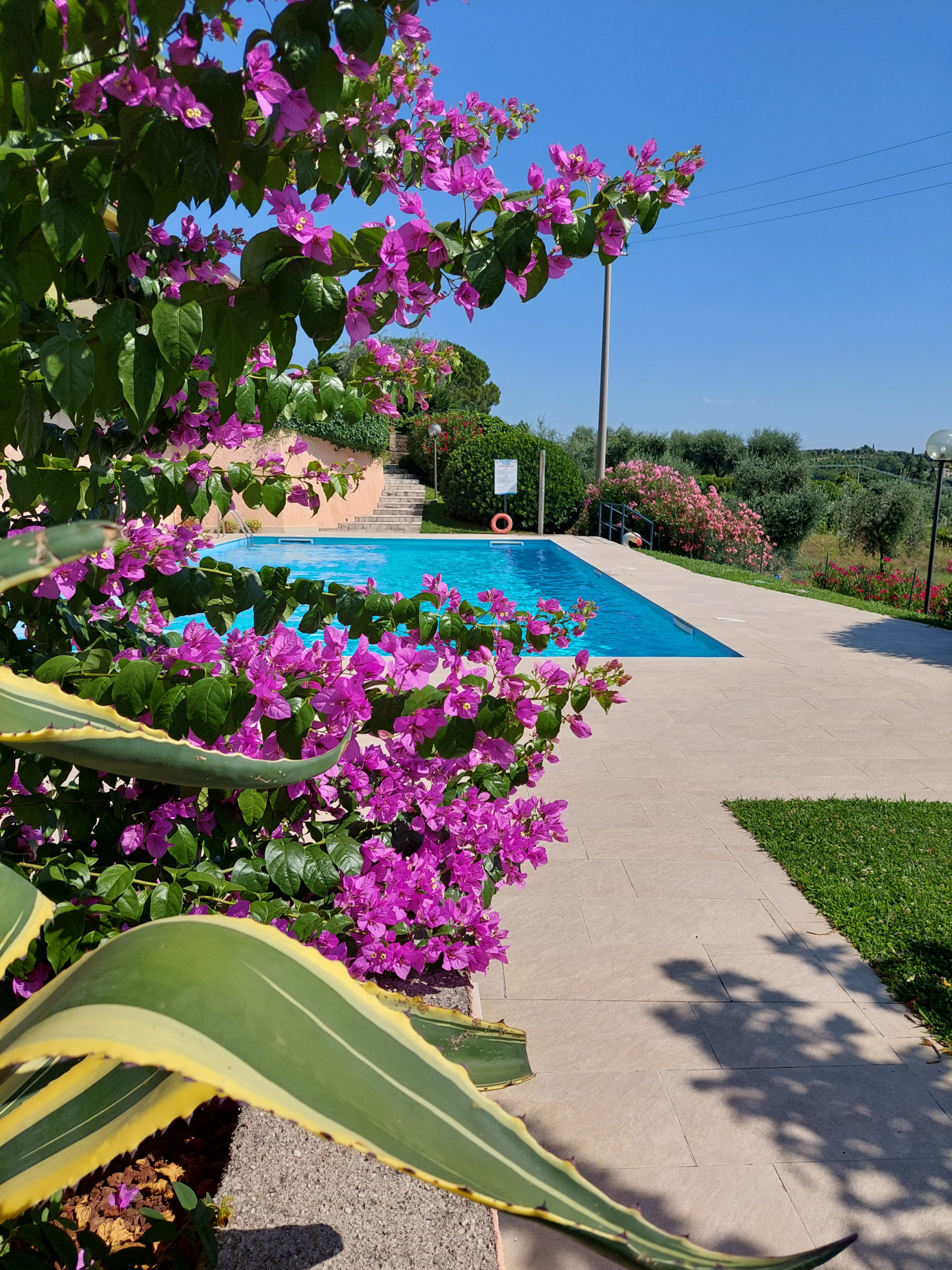  à Bardolino - Regarda - Apartment 