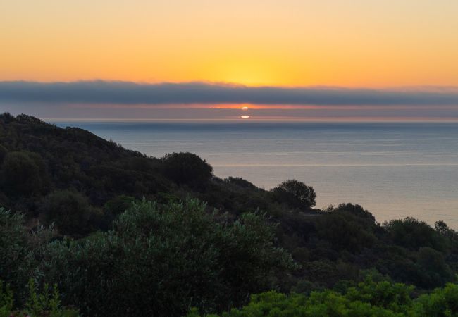 Villa à Ottiolu - Villa La Bella Villa à Ottiolu - Villa La Bella