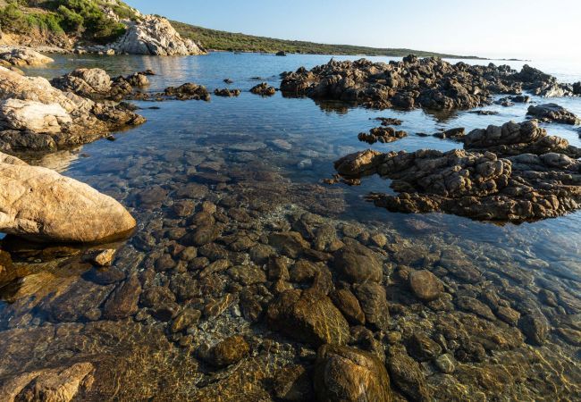 Villa à Ottiolu - Villa La Bella Villa à Ottiolu - Villa La Bella